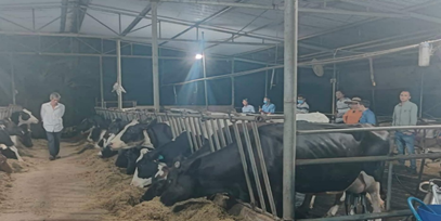 Các hộ dân trên địa bàn huyện đi tham quan mô hình chăn nuôi bò sữa cho hiệu quả kinh tế cao