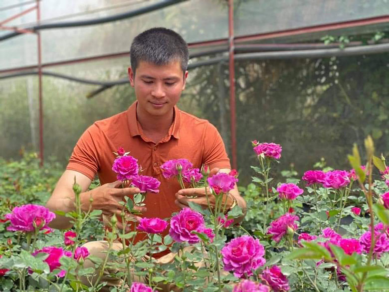 Chàng trai trẻ sở hữu hơn 100 giống hồng ngoại tại Đà Lạt