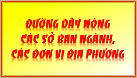 Đường dây nóng sở ban ngành