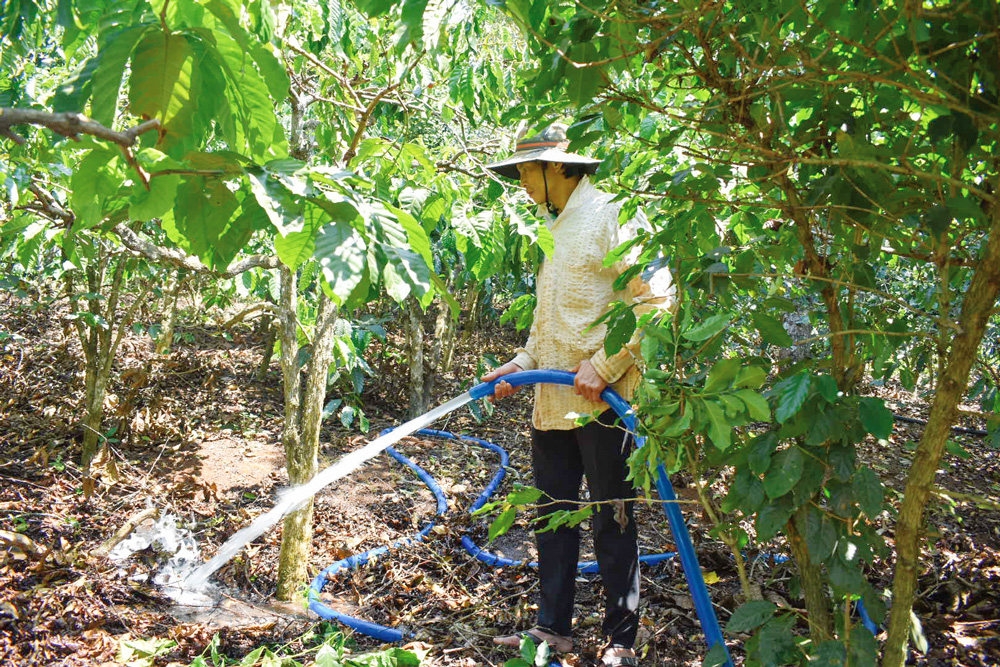Chủ động nguồn nước tưới cho cây trồng mùa khô