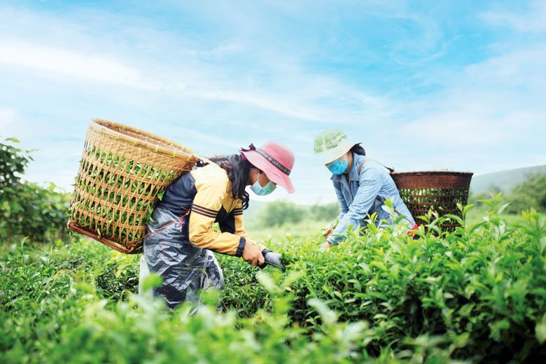 Top 12 điểm du lịch Thái Nguyên đẹp như tranh vẽ Top 5 điểm du lịch Thái Nguyên đẹp như tranh vẽ