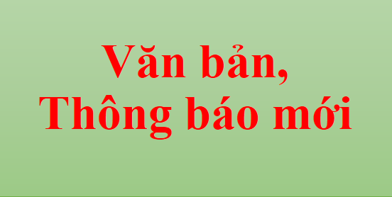 báo giá vật liệu xây dựng tỉnh Lâm Đồng