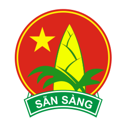 Điều lệ Đội TNTP Hồ Chí Minh