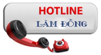 hotline